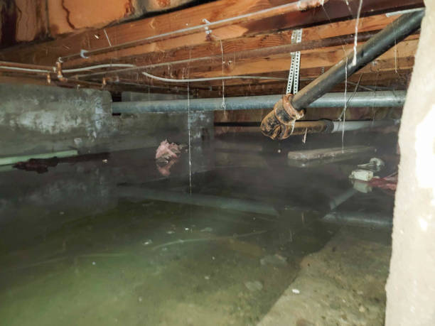  Loomis, CA Water damage restoration Pros