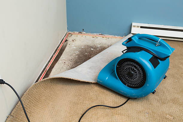 Best Professional water damage repair  in Loomis, CA
